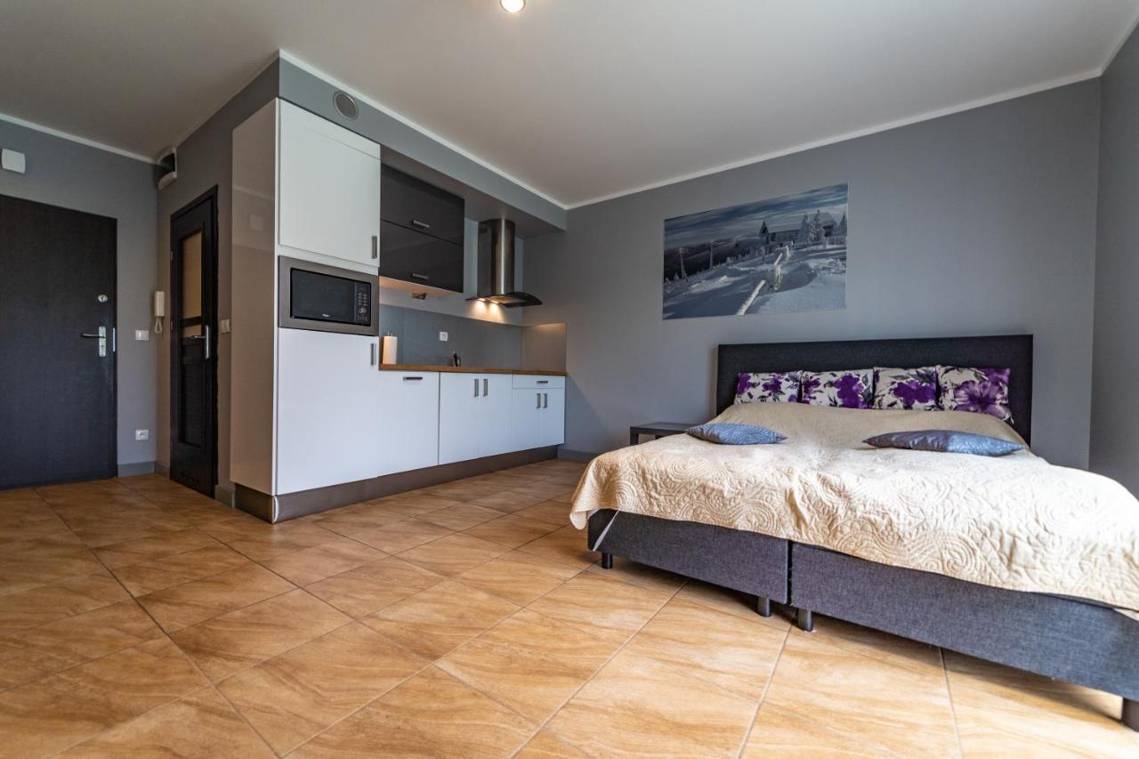 Apartament Zielony Zakatek Swieradow-Zdroj Exterior photo