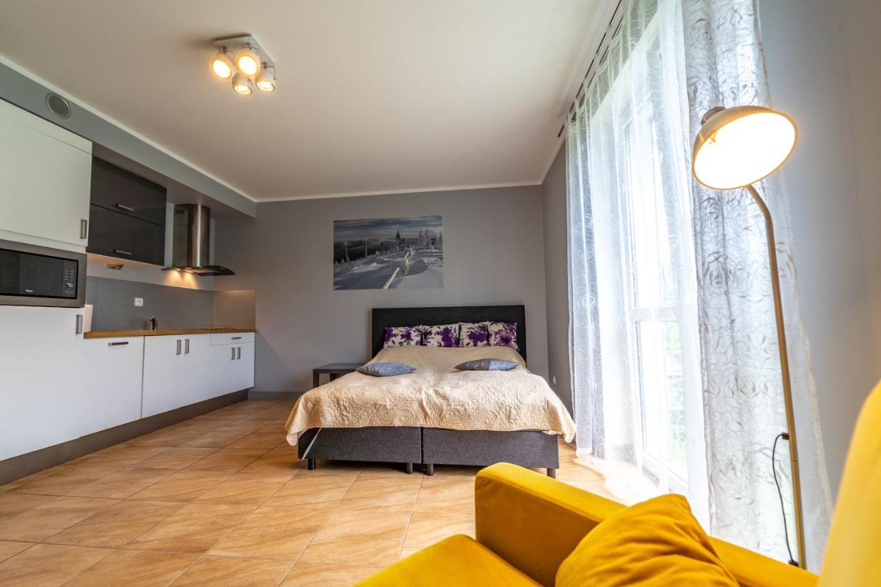 Apartament Zielony Zakatek Swieradow-Zdroj Exterior photo